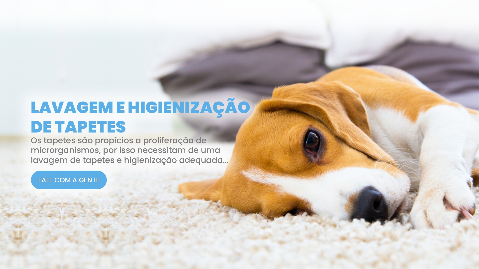 Lavagem de tapetes e Higienização Impermeabilização de Estofados Proteção de Tecidos Impermeabilização de Sofás