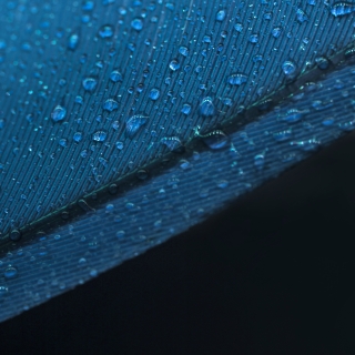 Impermeabilização de Estofados Limpeza de Estofados Serviço de Lavagem de Móveis Lavagem a Seco de Cadeiras