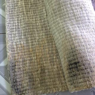 Tapete com Mofo Serviço de Limpeza de Móveis de Tecido Higienização de Estofados de Tecido